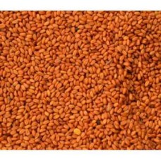Σπόροι Καμελίνα-Gold of pleasure seed 500gr Σπόροι Καμελίνα-Gold of pleasure seed 500gr