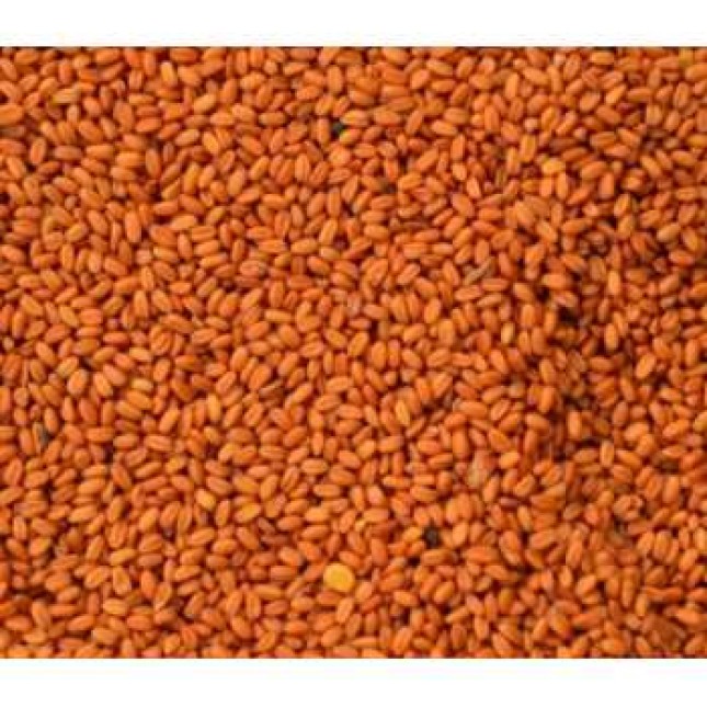 Σπόροι Καμελίνα-Gold of pleasure seed 500gr Σπόροι Καμελίνα-Gold of pleasure seed 500gr