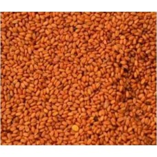 Σπόροι Καμελίνα-Gold of pleasure seed 200gr Σπόροι Καμελίνα-Gold of pleasure seed 200gr