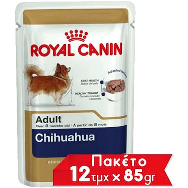 Royal Canin πλήρης τροφή Breed Health Nutrition Wet για ενήλικες σκύλους φυλής chihuahua