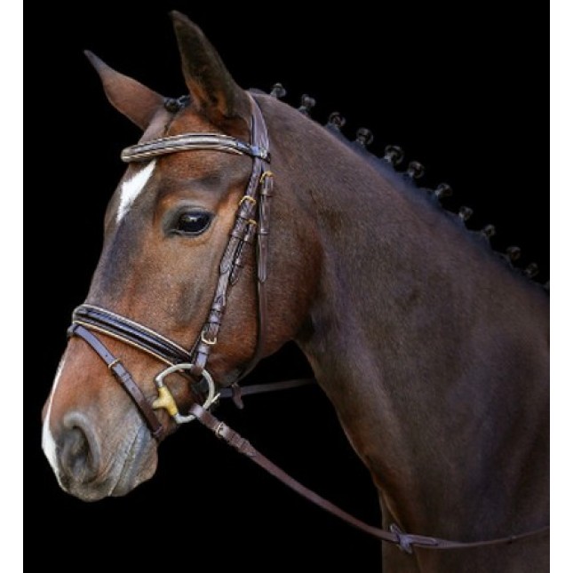 Kerbl χαλινάρι Kingston Engl. Combi Model καφέ Pony Kerbl χαλινάρι Kingston Engl. Combi Model καφέ Pony
