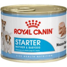 Royal canin πλήρης τροφή Size Health Nutrition Wet starter για θηλυκούς σκύλους κατά την κύηση