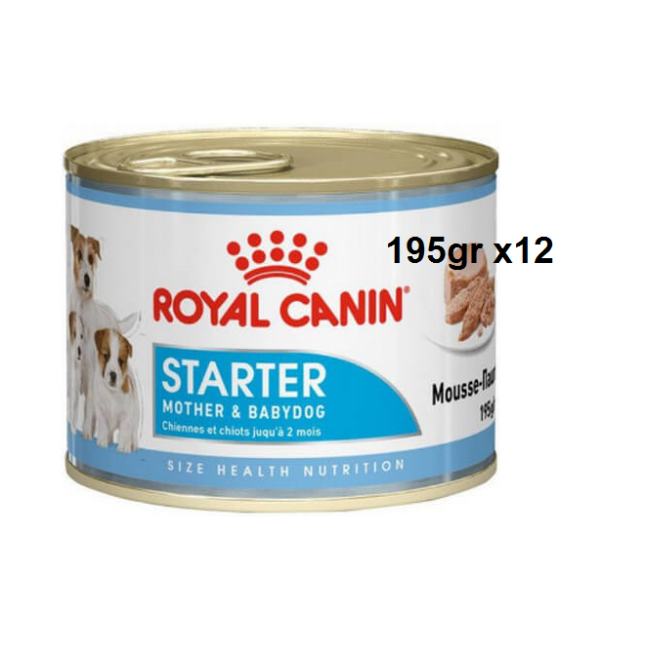 Royal canin πλήρης τροφή Size Health Nutrition Wet starter για θηλυκούς σκύλους κατά την κύηση