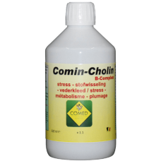 Comin-Cholin B-Complex 500m/Σύμπλεγμα αμινοξέων,ηλεκτρολυτών,βιταμινών,σορβιτόλης,μεθιονίνης,χολίνης