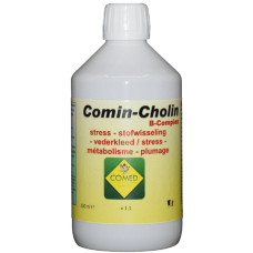 Comin-Cholin B-Complex 500m/Σύμπλεγμα αμινοξέων,ηλεκτρολυτών,βιταμινών,σορβιτόλης,μεθιονίνης,χολίνης Comin-Cholin B-Complex 500m/Σύμπλεγμα αμινοξέων,ηλεκτρολυτών,βιταμινών,σορβιτόλης,μεθιονίνης,χολίνης