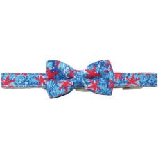 Croci Περιλαίμιο σκύλου Reef 2x40 cm Croci Περιλαίμιο σκύλου Reef 2x40 cm