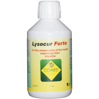 Comed Lysocur forte σε συσκευασία των 250ml , 500ml & 1lt Comed Lysocur forte σε συσκευασία των 250ml , 500ml & 1lt