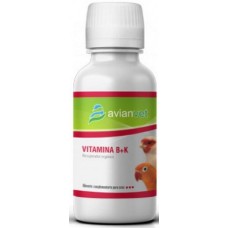 Avianvet bitamina b+k - σύμπλεγμα βιταμινών β και κ για την αποκατάσταση της υγείας των πτηνών