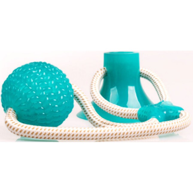 Παιχνίδι Σκύλου Suction ball διαδραστική μπάλα που μπορεί να κολλήσει σε οποιαδήποτε λεία επιφάνεια Παιχνίδι Σκύλου Suction ball διαδραστική μπάλα που μπορεί να κολλήσει σε οποιαδήποτε λεία επιφάνεια
