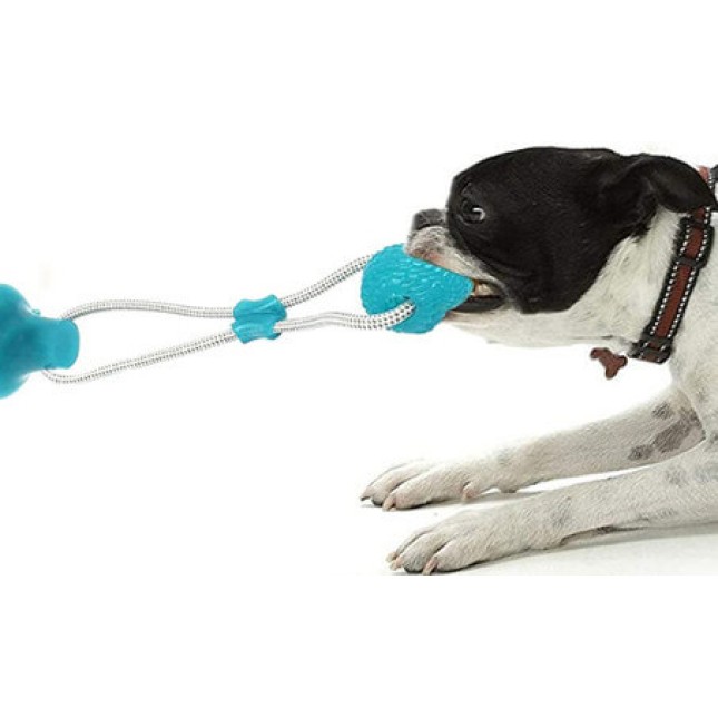 Παιχνίδι Σκύλου Suction ball διαδραστική μπάλα που μπορεί να κολλήσει σε οποιαδήποτε λεία επιφάνεια