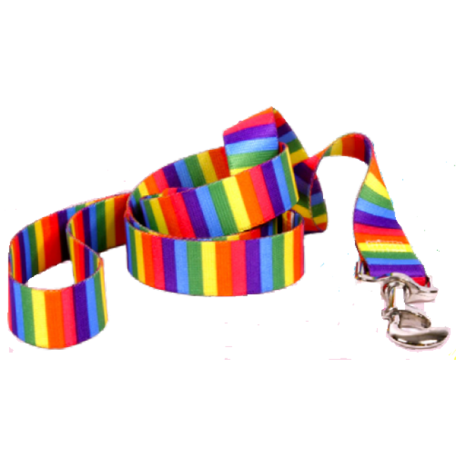 Croci πολύχρωμος οδηγός pride 2x120cm Croci πολύχρωμος οδηγός pride 2x120cm