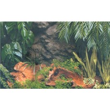 Hobby Φόντο φωτογραφίας διπλής όψης Rain Rain / Red Canyon Hobby Φόντο φωτογραφίας διπλής όψης Rain Rain / Red Canyon
