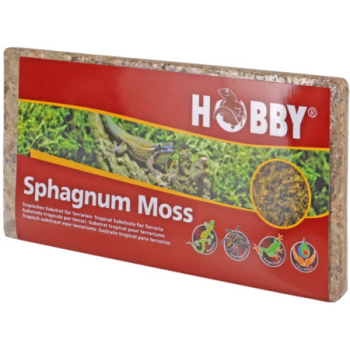 Hobby 100% φυσικά βρύα για το terrarium με τη μορφή συμπαγούς πλακιδίου 100 g Hobby 100% φυσικά βρύα για το terrarium με τη μορφή συμπαγούς πλακιδίου 100 g
