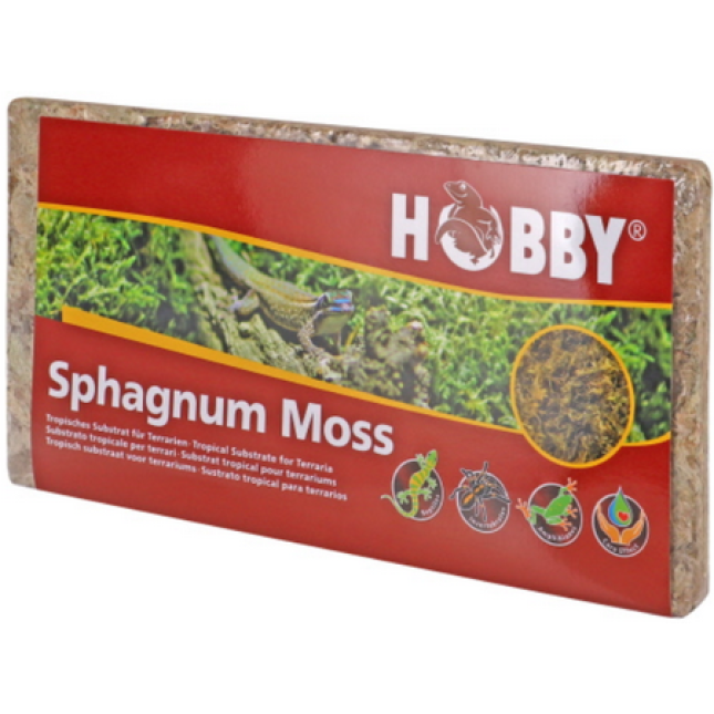 Hobby 100% φυσικά βρύα για το terrarium με τη μορφή συμπαγούς πλακιδίου 100 g Hobby 100% φυσικά βρύα για το terrarium με τη μορφή συμπαγούς πλακιδίου 100 g