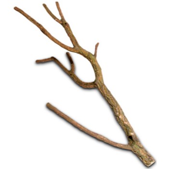 Hobby κλαδί φελλού  50 - 75 cm