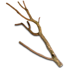 Hobby κλαδί φελλού 75-100 cm Hobby κλαδί φελλού 75-100 cm