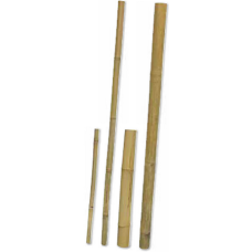 Hobby μπαστούνι Bamboo ιδανικά για το σχεδιασμό ενός φυσικού τεράριουμ