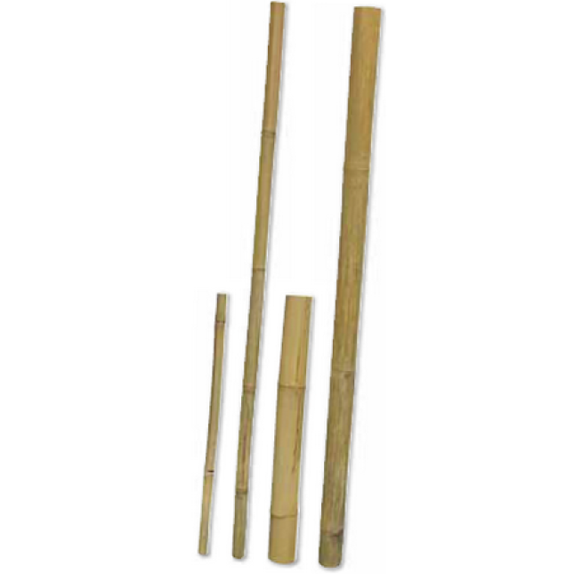 Hobby μπαστούνι Bamboo ιδανικά για το σχεδιασμό ενός φυσικού τεράριουμ Hobby μπαστούνι Bamboo ιδανικά για το σχεδιασμό ενός φυσικού τεράριουμ