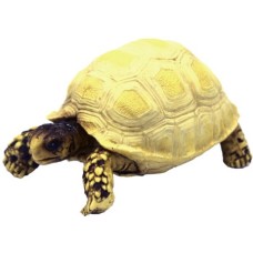Hobby διακοσμητική χελώνα 10 x 5 x 6,5 cm