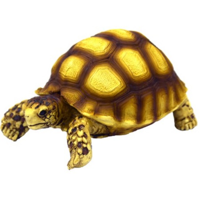 Hobby εντυπωσιακές διακοσμητικές  χελώνες για terrarium, παρτέρι, βεράντα ή το σαλόνι