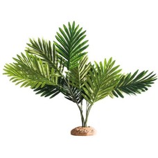 Hobby διακοσμητικό φυτό Palm 60 x 40 x 55 cm