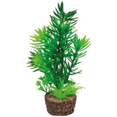 Hobby Διακοσμητικό φυτό Flora Stone 1 4 x 13 cm Hobby Διακοσμητικό φυτό Flora Stone 1 4 x 13 cm