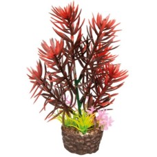 Hobby Διακοσμητικό φυτό Flora Stone 2 4 x 13 cm Hobby Διακοσμητικό φυτό Flora Stone 2 4 x 13 cm