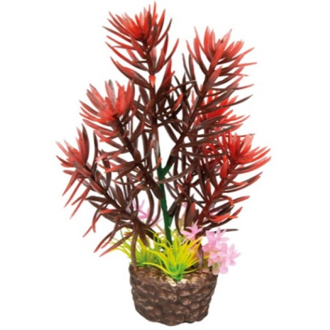 Hobby Διακοσμητικό φυτό Flora Stone 2 4 x 13 cm Hobby Διακοσμητικό φυτό Flora Stone 2 4 x 13 cm