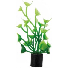 Hobby Διακοσμητικό φυτό Cardamine mini ss 1,5 x 1,5 x 7 cm
