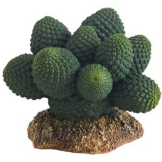 Hobby Διακοσμητικό φυτό Cactus Atacama 7x6x5 cm