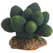 Hobby Διακοσμητικό φυτό Cactus Atacama 7x6x5 cm Hobby Διακοσμητικό φυτό Cactus Atacama 7x6x5 cm