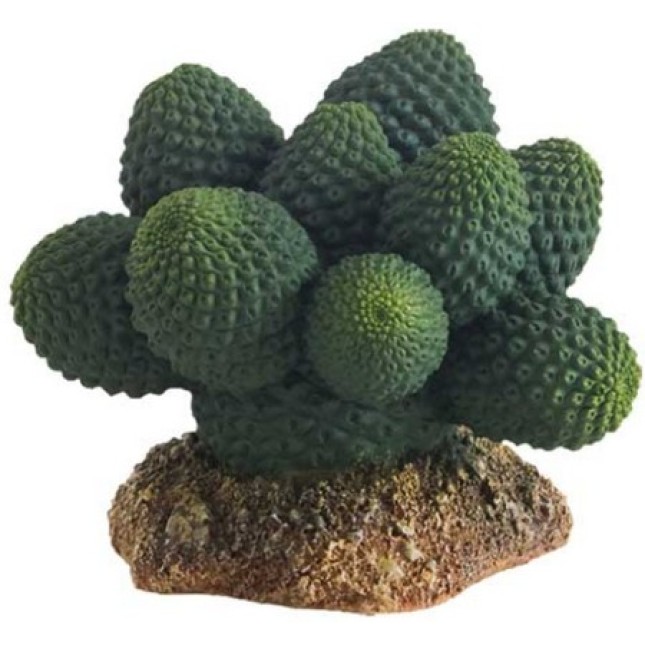 Hobby Διακοσμητικό φυτό Cactus Atacama 7x6x5 cm Hobby Διακοσμητικό φυτό Cactus Atacama 7x6x5 cm