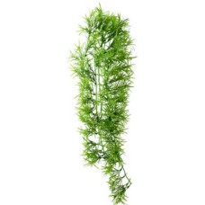 Hobby διακοσμητικό αναρριχόμενο τροπικό φυτό 70 cm Hobby διακοσμητικό αναρριχόμενο τροπικό φυτό 70 cm
