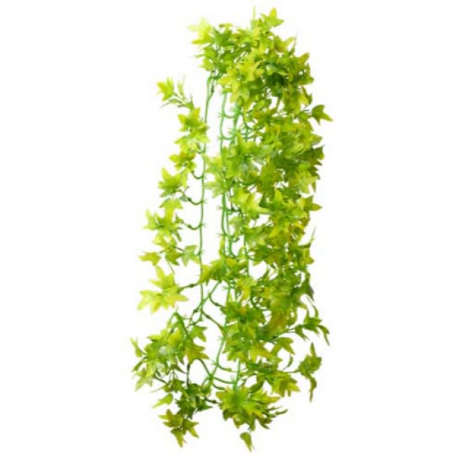 Hobby διακοσμητικός αναρριχόμενος κισσός 70 cm Hobby διακοσμητικός αναρριχόμενος κισσός 70 cm