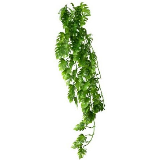Hobby διακοσμητικό αναρριχόμενο φύλλο για terrarium Hobby διακοσμητικό αναρριχόμενο φύλλο για terrarium