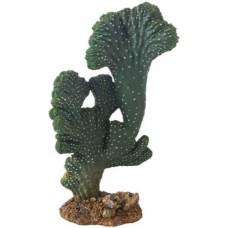 Hobby διακοσμητικός κάκτος Victoria 2 22 cm Hobby διακοσμητικός κάκτος Victoria 2 22 cm