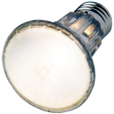 Hobby Λάμπα αλογόνου Spotlight 100 W Hobby Λάμπα αλογόνου Spotlight 100 W