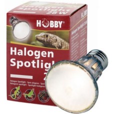 Hobby Λάμπα αλογόνου Spotlight με στενή κάλυψη 12 °