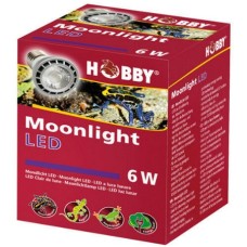 Hobby LED Λάμπα νυχτερινού φωτός 6 W