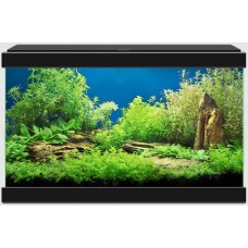 Ciano Ενυδρείο Aqua 20 μαύρο (40x20x26cm) 17Lt Ciano Ενυδρείο Aqua 20 μαύρο (40x20x26cm) 17Lt