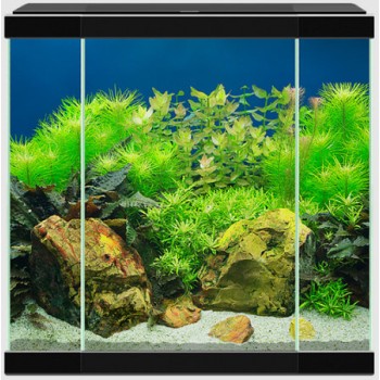 Ciano Ενυδρείο Aqua 30 μαύρο (40x20x40,2cm) 25Lt Ciano Ενυδρείο Aqua 30 μαύρο (40x20x40,2cm) 25Lt