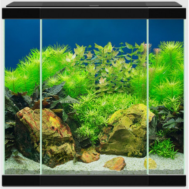 Ciano Ενυδρείο Aqua 30 μαύρο (40x20x40,2cm) 25Lt Ciano Ενυδρείο Aqua 30 μαύρο (40x20x40,2cm) 25Lt