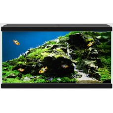 Ciano Ενυδρείο Aqua 60 Black (60x30x33,5cm) 58Lt Ciano Ενυδρείο Aqua 60 Black (60x30x33,5cm) 58Lt