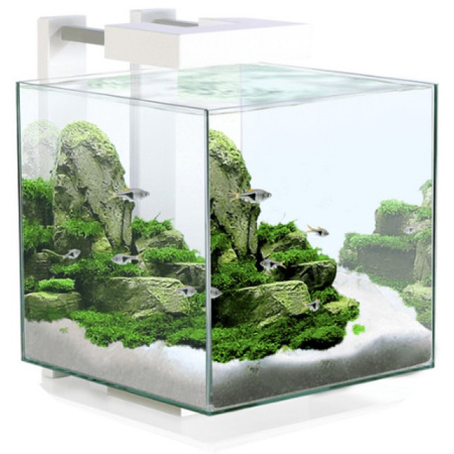 Ciano Ενυδρείο Nexus Pure 15 άσπρο (25x25x31,5cm) 14Lt Ciano Ενυδρείο Nexus Pure 15 άσπρο (25x25x31,5cm) 14Lt