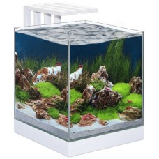 Ciano Ενυδρείο Nexus Pure 25 άσπρο (29x33x38cm) 22Lt Ciano Ενυδρείο Nexus Pure 25 άσπρο (29x33x38cm) 22Lt