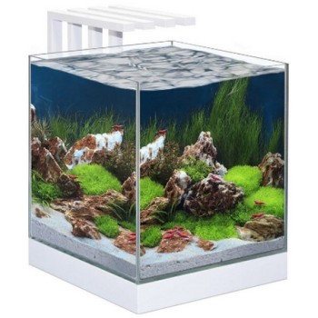 Ciano Ενυδρείο Nexus Pure 25 άσπρο (29x33x38cm) 22Lt Ciano Ενυδρείο Nexus Pure 25 άσπρο (29x33x38cm) 22Lt