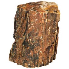 Hobby απολιθωμένο ξύλο 1,0-2,2 kg