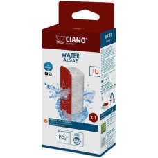 Ciano Ciano Water Algae Ciano Ciano Water Algae
