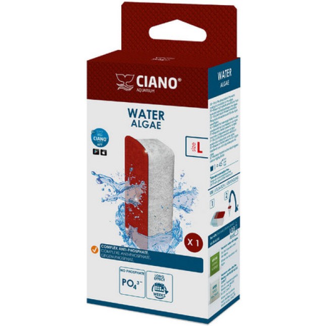 Ciano Ciano Water Algae Ciano Ciano Water Algae