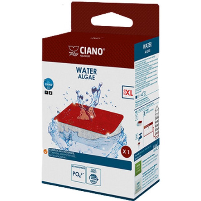 Ciano Water Algae Ciano Water Algae